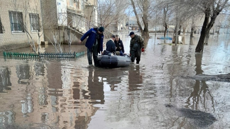 Благодарность за поддержку